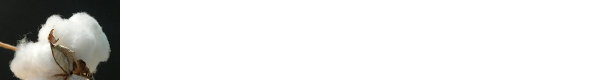 原材料・素材選びへのこだわり